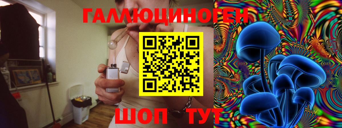 Галлюциногенные грибы Magic Shrooms  Вход с VPN  Нерюнгри  Галлюциногенные грибы Psilocybine cubensis 
